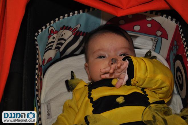 תמונה גדולה